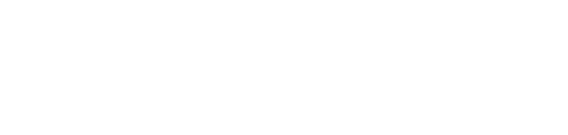 logo sky show